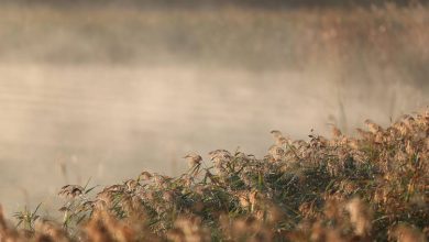Όσο πιο πολλά αποκτά κανείς, τόσο πιο πολλά θέλει