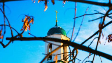 Όλες οι αρετές καλλιεργούνται