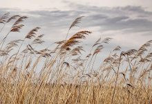 Η ζωή γεμάτη με βιοτικές μέριμνες