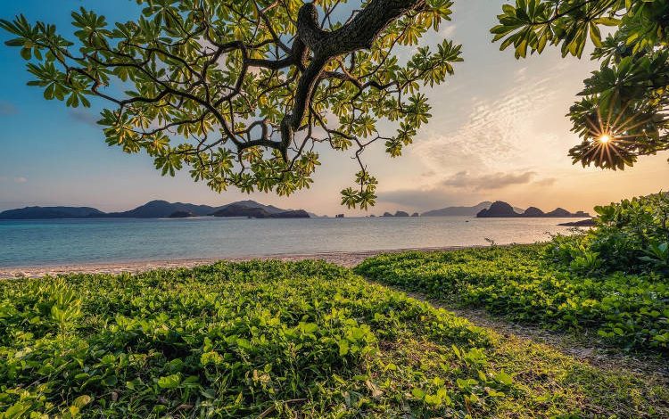 Ποιος είναι τέλειος;